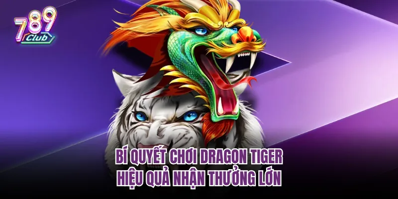 Bí quyết chơi Dragon Tiger hiệu quả nhận thưởng lớn